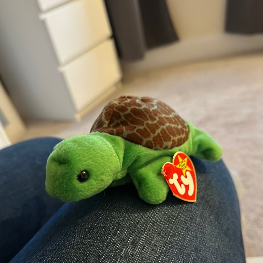 Ty Turtle beanie baby from 1994—Speedy